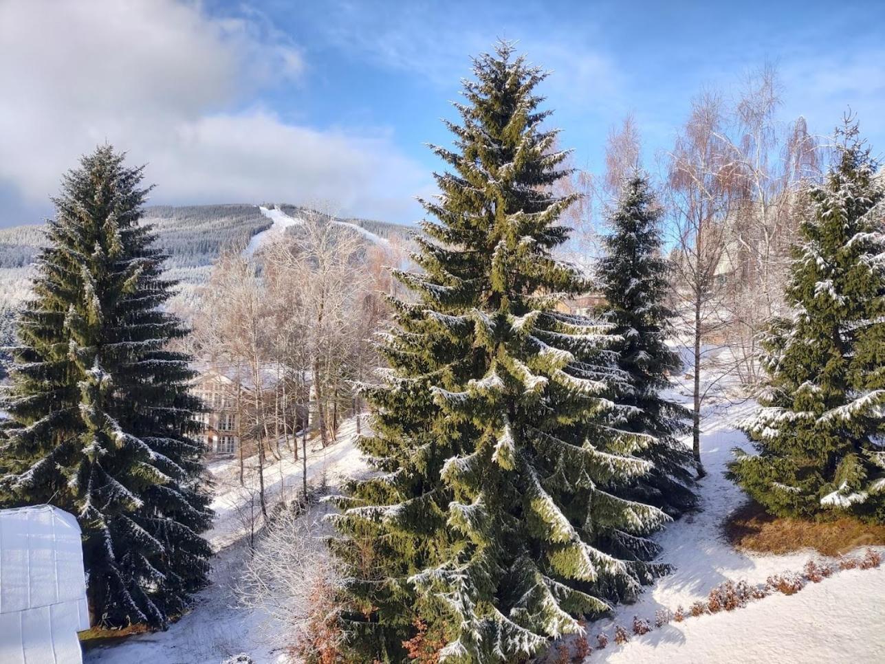 Pension Kubu Apartment 4 Samostatny Byt S Kuchyni Špindlerŭv Mlýn Exteriör bild